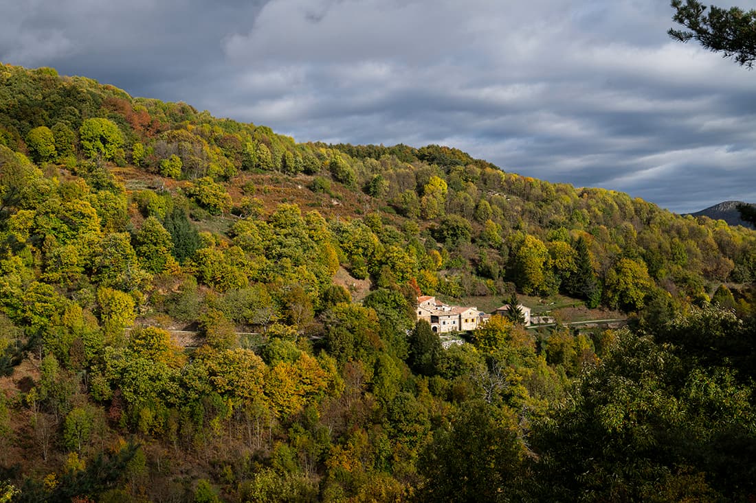 La Maison des Châtaigniers au cœur des châtaigneraies d’Ardèche